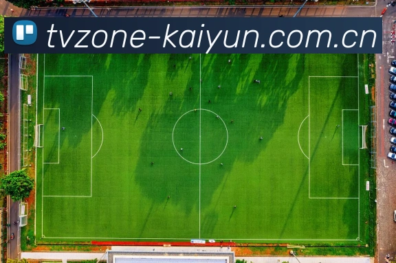 Kaiyun APP界面展示