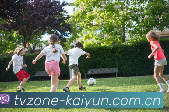 Kaiyun App 界面展示